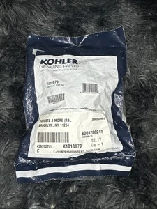 Kohler #1018879 Mixer Verkleidung Hardware Kit OEM TEIL - Bild 1 von 2