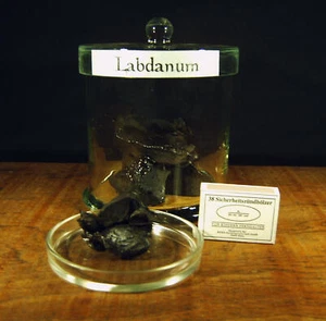 Labdanum - Ladanun - Cistrosenharz 20gr - Bild 1 von 1