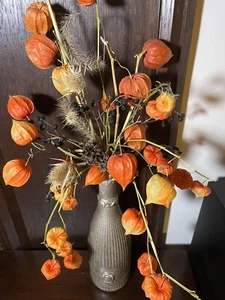 herbstlich Blumenstrauß Bouquet Herbst Trockenblumen Glasvase Dekoration Deko - Bild 1 von 5