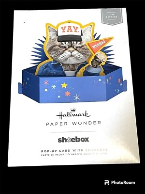 Tarjeta emergente Hallmark Paper Wonder con sobre Just Because Crazy Cat Foto 1 de 4