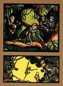 Antiguo mono chimpancé impresión ilustración arte de pared decoración Edwin noble arte 4537 - Imagen 1 de 2