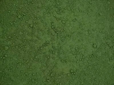 Vagone Green Earth - Kremer Artist Dry Powder Pigments - Image 1 of 3