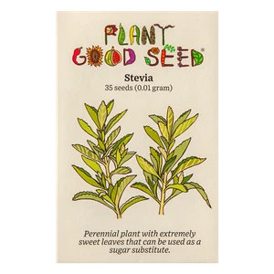 Stevia Seeds - Picture 1 of 1