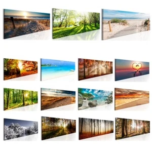 Wald Strand Meer Natur Landschaft LEINWAND BILDER WANDBILDER GROßE AUSWAHL - Bild 1 von 67
