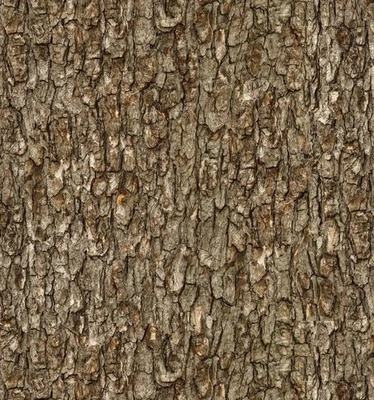 Elizabeth Studio Walnut Brown Tree Bark Cotton Quilt Fabric by the Yard - Image 1 of 2