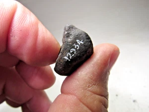 MUSEUM # 12934 SPECIMEN! FRESH CRUSTED WILUNA AUSTRALIAN METEORITE 9.6 GMS - Picture 1 of 6