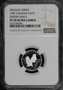 Canadá 1991 $75 Platinum Wildlife Series Snowy Owls NGC PF-70 Ultra camafeo - Imagen 1 de 2
