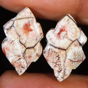 natural BIRD EYE JASPER pair cabochon loose gemstone 12.90 Cts. (11 x 18 x 4 mm) - Picture 1 of 6
