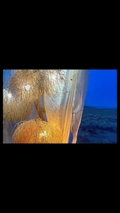 30”+  Tumbleweed Chandelier !! HUGE Natural Chandelier The ORIGINAL “Tumblier” ! - Picture 1 of 14