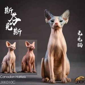 JxK 1/6 Canadian Hairless Cat Pet Sphynx Figurine Animal Toy Collect Decor Gift - Picture 1 of 18