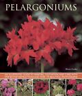 Pelargoniums : An Illustrated Guide To Varieties, Cultivation And Care, With ...