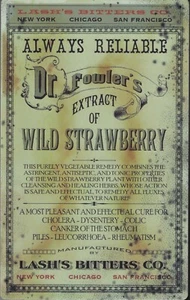 PLAQUE METAL vintage DR FOWLER'S lash's bitters co - 41 X 26 CM - Foto 1 di 1