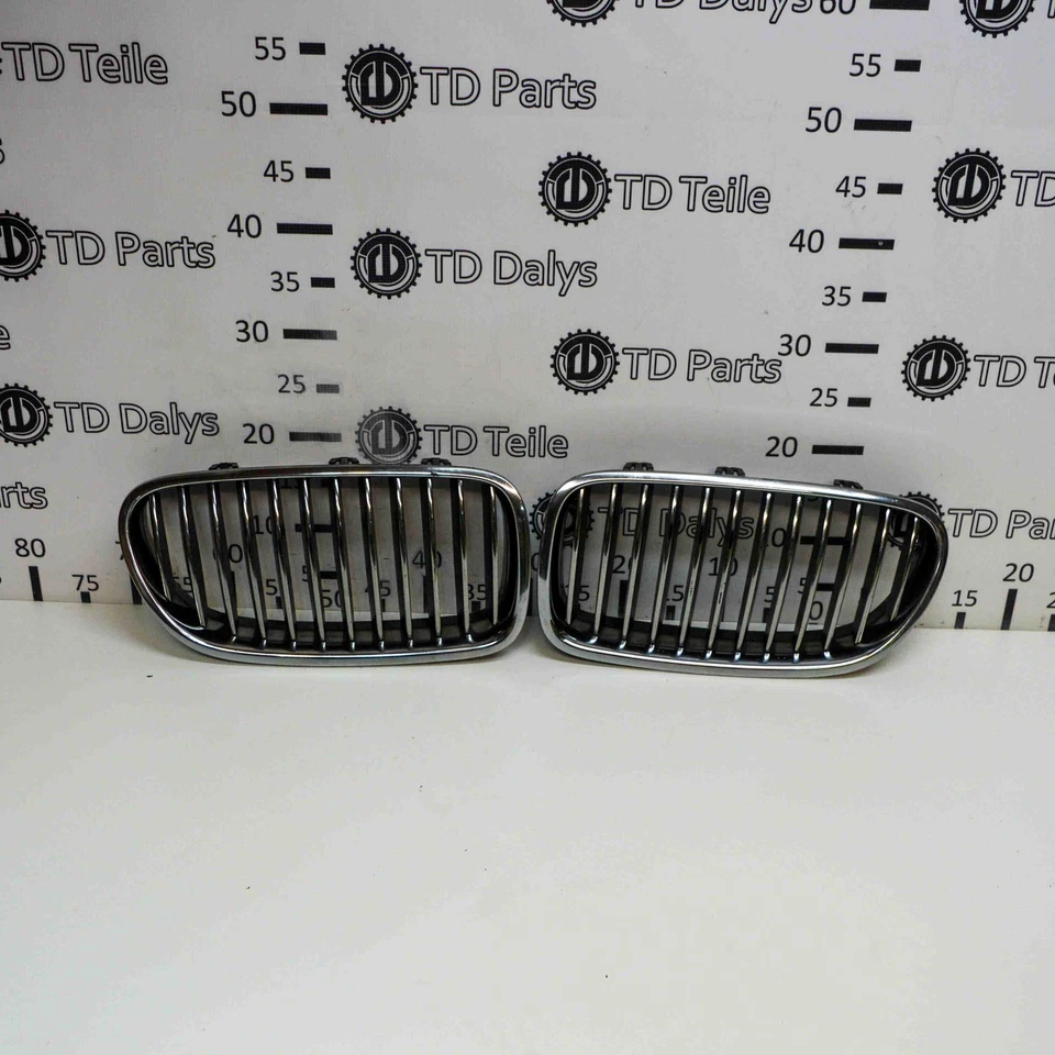 Rejilla radiador BMW 5 Touring F11 7200728 2.0 diésel 135kw 2010 11652880 - Imagen 1 de 4