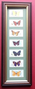 TARJETAS CIGARRILLOS MARIPOSAS X 7 ENMARCADAS - Imagen 1 de 1