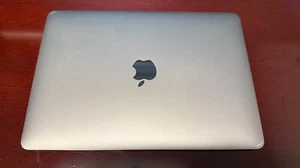 Apple MacBook 12" (256GB SSD, Core M, 8GB) - Space Gray - Screen Delamination - Picture 1 of 4