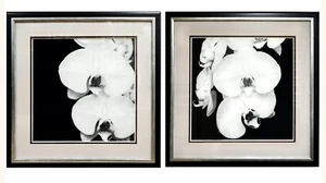 Framed Photo Prints of Orchids 26"x26" Black Wooden Frame with Sliver Fillet - Picture 1 of 6