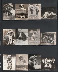DOG PHOTO COLLECTION ADORABLE 1930S-1940'S - Bild 1 von 2