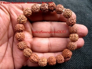 Bracciale 7 Mukhi Rudraksha / Sette Facce Rudraksh / Mahalaxmi - Giava - 20 Perline - Foto 1 di 2