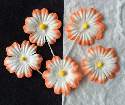 10 Flores Naranja Hecho a Mano Papel Morera Tropical Flor Adorno Fiesta Foto 1 de 3