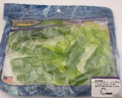 Sea Striker H4CT20-18S Got-Cha 4 " Dunkel Grün / Silber Flake Curltail Maden - Bild 1 von 2