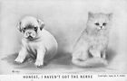 Shy Puppy & Kitten mit dem Titel Honest, I Haven't Got The Nerve-1909 PC-V. Colby Art2.