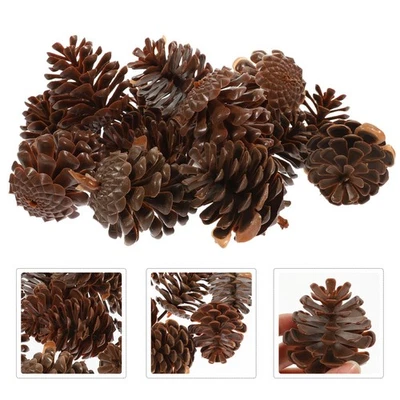  30 Pcs Christmas Decoration Pine Cone Ornament Pomme Pins Décor Pommes - Photo 1/4