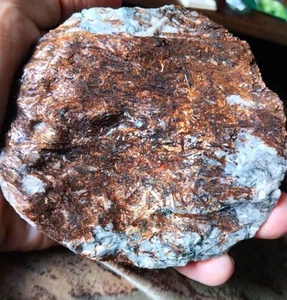 Amazing Bronze Astrophyllite in Albite from Kola Peninsula !! - Picture 1 of 2