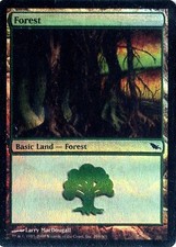 MTG - Shadowmoor - Forest #298 - Foil - Various conditions