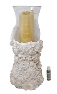 HomeWorx by Harry Slatkin Floral Decorative Hurricane with Pillar Candle RARE - Picture 1 of 13