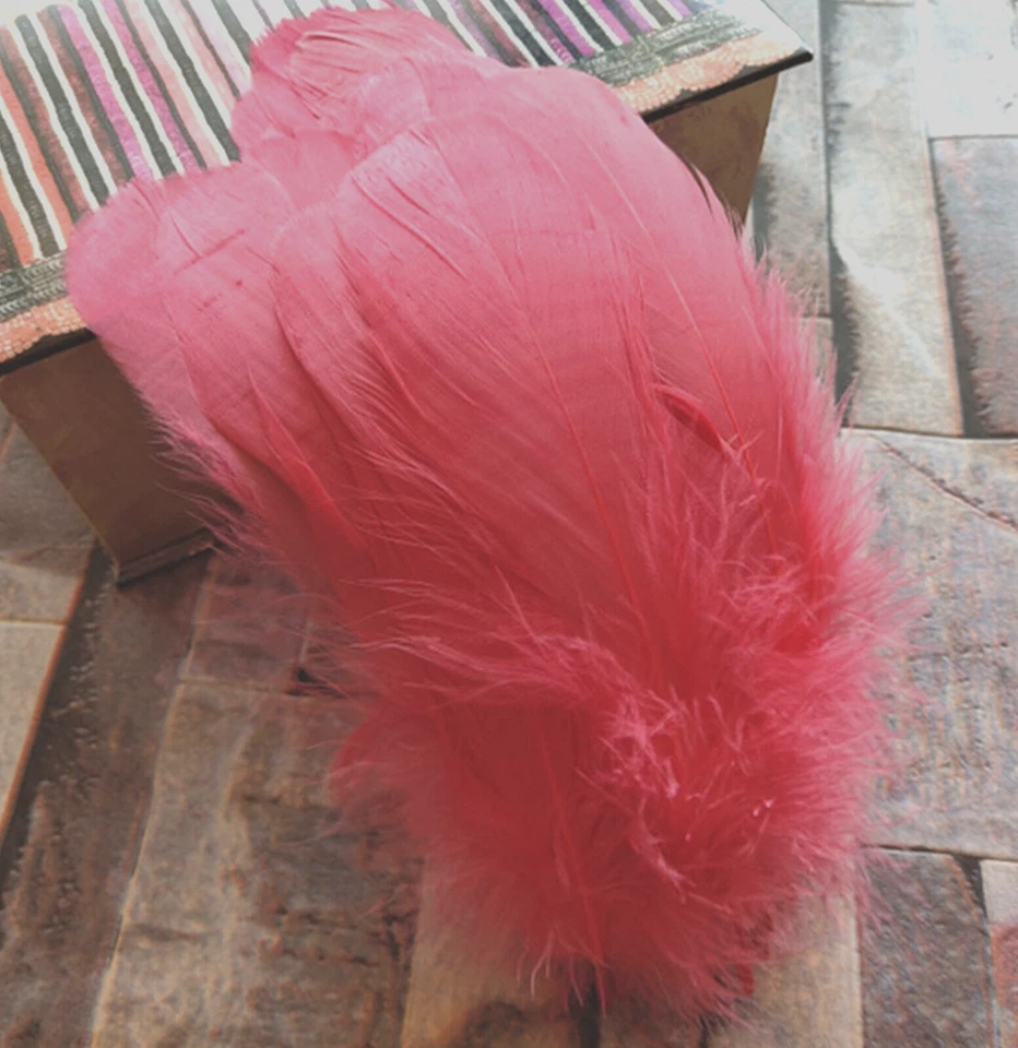 Coral Goose Feathers 6-8" 12 Pc  Wedding Millinery Crafts Decoration - Image 1 of 1