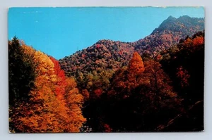Autumn Colors Near Chimney Tops By Walter Cline Postcard GS 180 Unposted - Picture 1 of 2