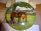 SPODE COLLECTORS PLATE  "THE ENGLISH THOROUGH BRED" -  BOXED - HORSE - RACING