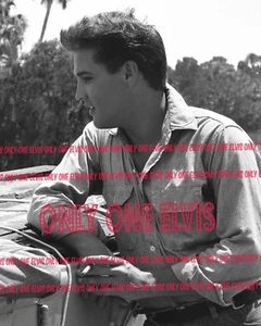 1962 ELVIS PRESLEY in den Filmen "Follow that dream" Foto "Zigarrenbruch" - Bild 1 von 1