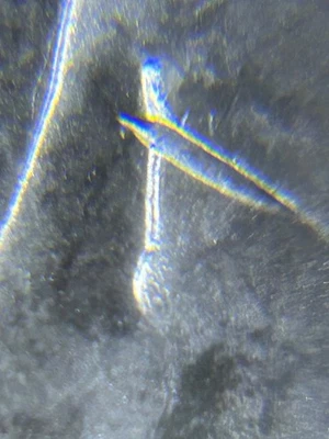 1887 P Morgan Silver Dollar ANACS MS64 VAM-12A DDO/Gator Eye Top 100 - Image 1 of 4