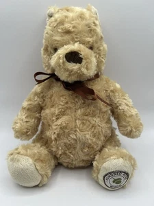 Disney Classic Pooh 10" Rainbow Plush Hundred Acre Wood Collection Very Soft - Picture 1 of 6