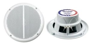 "6.5" 2-Way Marine Speaker | 450W Power Handling | IMPP Cone | Weather-Resistant - Picture 1 of 2