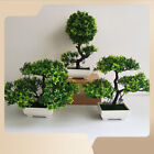 Künstliche Pflanzen Bonsai Baum Topfpflanzen Kunstpflanzen Im Topf Pflanze Dekor