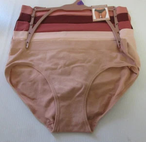 Icy Hot 4 Pack Seamless v- Cut Hipster Women's Underwear Pack Size L - Picture 1 of 2
