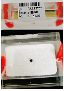 DIAMANTE NERO NATURALE CERTIFICATO BLISTER BRILLANTE CARATI 0,13 BLACK DIAMOND - Foto 1 di 1