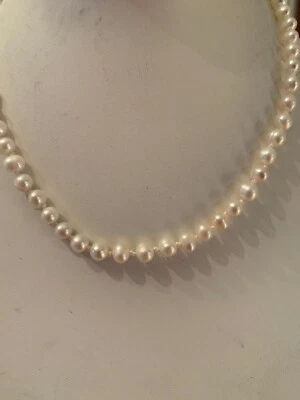 NUEVO CON ETIQUETAS Venta de muestra Collar de perlas de agua dulce Carolee 16” Cierre de plata Q8 Foto 1 de 4