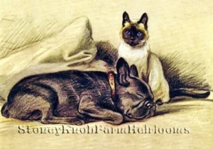French Bulldog, Siamese Cat ~ Lucy Dawson Dogs ~ Counted Cross Stitch Pattern - Picture 1 of 2