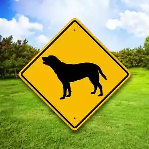 HUNDEKREUZUNG - Haustier Sicherheitsschild - Metall Warnschild - Spaß Hund Hof Dekor - Bild 1 von 6