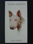No.38 BULL TERRIER - Dogs (Heads) A. Wardle by John Player 1929