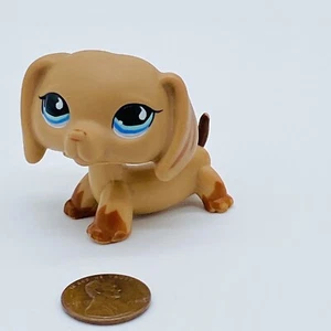 ๐ Littlest Pet Shop #518 Dachshund Dog Puppy Blue Tear Eyes LPS - Picture 1 of 5