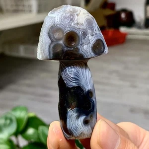 55G Natural Gobi Thousand Eyed Agate mushroom Shape Reiki Chakra Healing - Picture 1 of 22