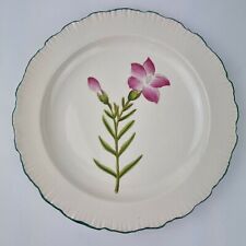 Antique Early 20th Century Cauldon Plate Painted With Botanical Flowers #2
