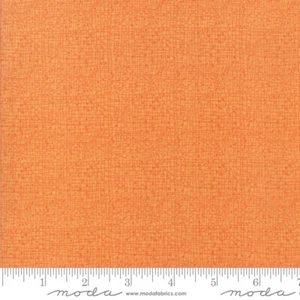 Abby Rose 48626-123 Moda Fabrics Robin Pickens Priced Per Half Yard - Picture 1 of 1