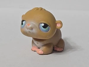 Vintage Littlest Pet Shop #54 criceto marrone marrone chiaro occhi blu LPS 2004 autentico - Foto 1 di 11
