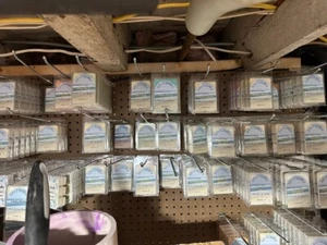 Ed's Candles Triple Scented Homemade Wax Melts Free Shipping Buy More Save More - Picture 1 of 3