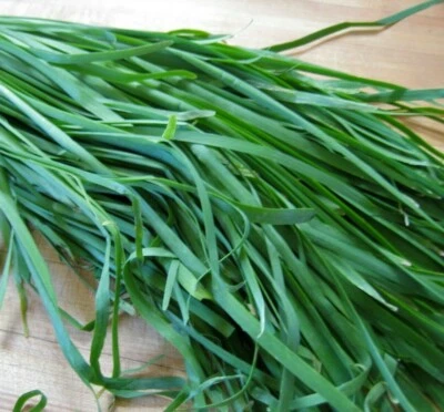 3 ORGANIC ROOT BULB Chinese Chive Plant Herb Kow Choi Jiu Chai Allium Tuber osum - Image 1 of 2